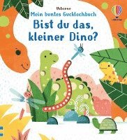Mein buntes Gucklochbuch: Bist du das, kleiner Dino? 1