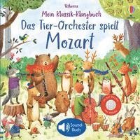 bokomslag Mein Klassik-Klangbuch: Das Tier-Orchester spielt Mozart