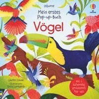 bokomslag Mein erstes Pop-up-Buch: Vögel