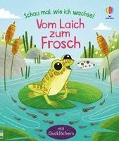 bokomslag Schau mal, wie ich wachse! Vom Laich zum Frosch