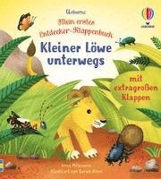 bokomslag Mein erstes Entdecker-Klappenbuch: Kleiner Löwe unterwegs