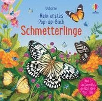 bokomslag Mein erstes Pop-up-Buch: Schmetterlinge