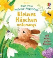 bokomslag Mein erstes Entdecker-Klappenbuch: Kleines Häschen unterwegs