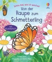 bokomslag Schau mal, wie ich wachse! Von der Raupe zum Schmetterling