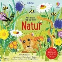 bokomslag Mein erstes Pop-up-Buch: Natur
