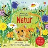 bokomslag Mein erstes Pop-up-Buch: Natur