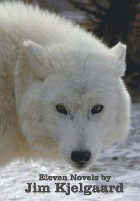 Jim Kjelgaard - Eleven Novels by Jim Kjelgaard (complete and unabridged) including, Häftad