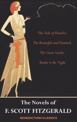 bokomslag Novels of F. Scott Fitzgerald