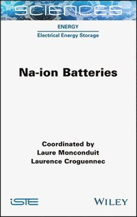 bokomslag Na-ion Batteries