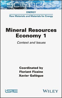 bokomslag Mineral Resources Economy 1