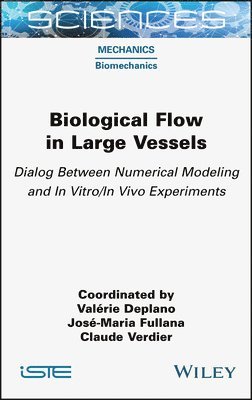 bokomslag Biological Flow in Large Vessels