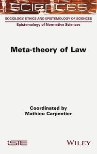 bokomslag Meta-theory of Law