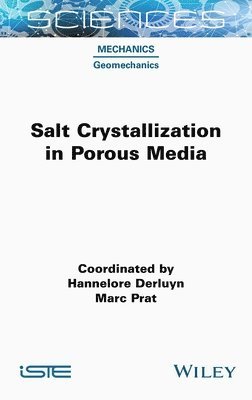Hannelore Derluyn, Hannelore Derluyn, Marc Prat - Salt Crystallization in Porous Media, Inbunden