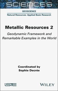 bokomslag Metallic Resources 2