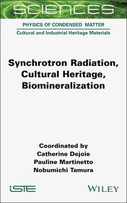 bokomslag Synchrotron Radiation, Cultural Heritage, Biomineralization