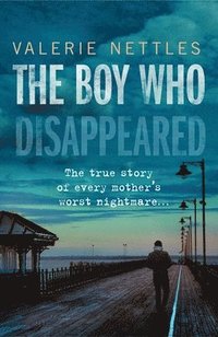 bokomslag The Boy Who Disappeared