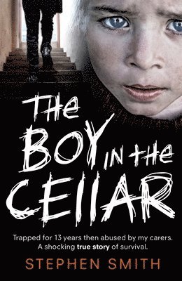 bokomslag Boy in the Cellar
