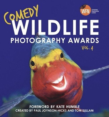 Comedy Wildlife Photography Awards Vol. 4 1