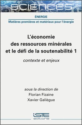 bokomslag L'conomie des ressources minrales et le dfi de la soutenabilit 1