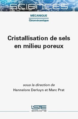 Hannelore Derluyn, Marc Prat - Cristallisation de sels en milieu poreux, Inbunden