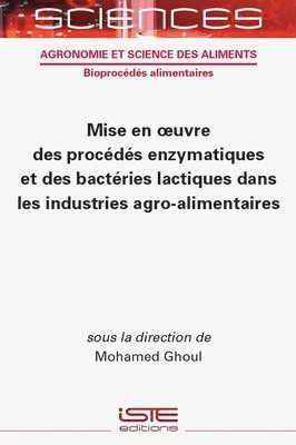 bokomslag Mise En Oeuvre Des Proc(c)D(c)S Enzymatiques Et Des Bact(c)Ries Lactiques Dans Les Industries Agro-Alimentaires