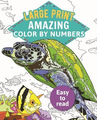 bokomslag Amazing Color by Numbers Large Print