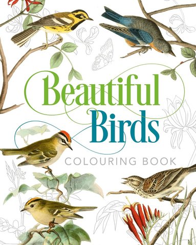 Peter Gray - Beautiful Birds Colouring Book, Häftad