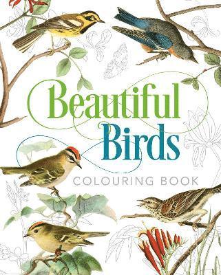 bokomslag Beautiful Birds Colouring Book