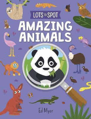 Lots to Spot: Amazing Animals 1