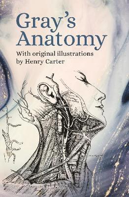 bokomslag Gray's Anatomy