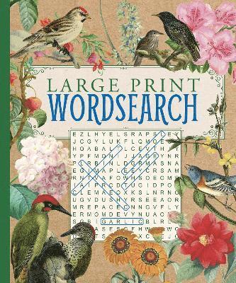 bokomslag Large Print Wordsearch