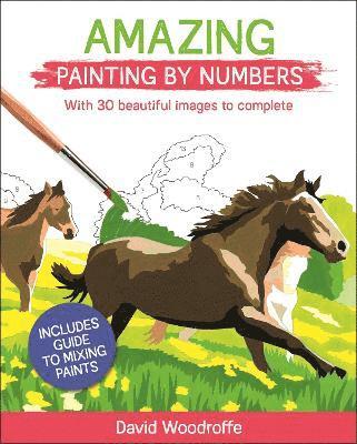 bokomslag Amazing Painting by Numbers