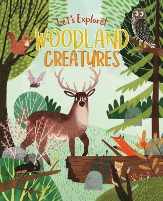 bokomslag Let's Explore! Woodland Creatures