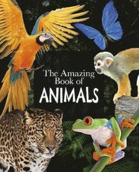 bokomslag The Amazing Book of Animals