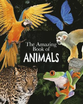 The Amazing Book of Animals 1
