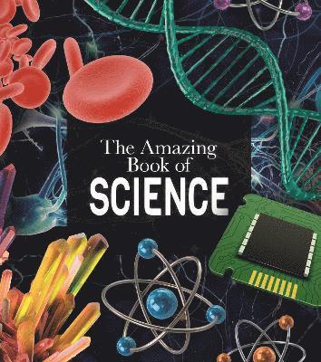 bokomslag Amazing Book of Science