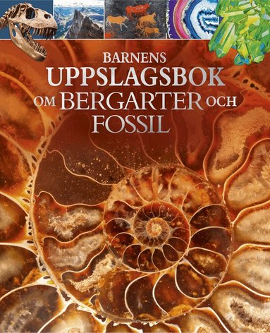 Claudia Martin - Barnens uppslagsbok om bergarter och fossil, Inbunden