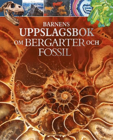 bokomslag Barnens uppslagsbok om bergarter och fossil
