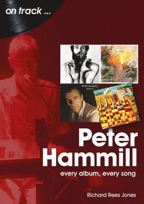 bokomslag Peter Hammill On Track