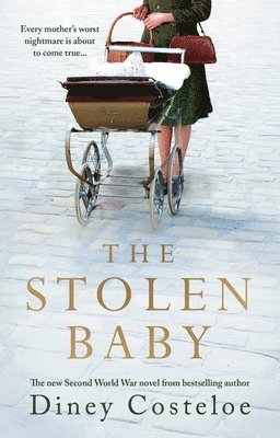 bokomslag The Stolen Baby