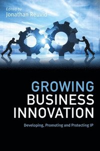 bokomslag Growing Business Innovation