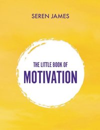 bokomslag Little Book of Motivation