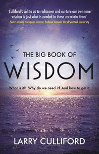 bokomslag The Big Book of Wisdom