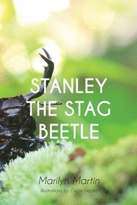 bokomslag Stanley the Stag Beetle