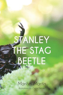 Stanley the Stag Beetle 1