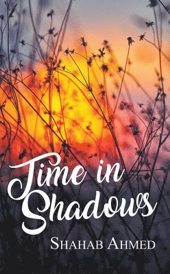 Time in Shadows 1