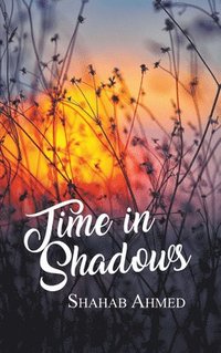 bokomslag Time in Shadows