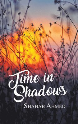 Time in Shadows 1