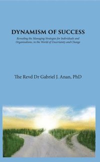 bokomslag Dynamism of Success: Revealing the Managing Strategies for Individuals and Organisations, in the World of Uncertainty and Change