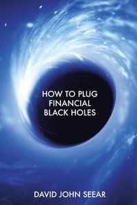 bokomslag How to Plug Financial Black Holes